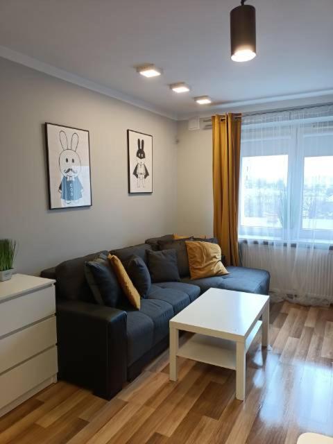 Family & Business Elegant Apartments Rynek Centrum Downtown - 2 Bedroom, Balcony, Parking Κίελτσε Εξωτερικό φωτογραφία